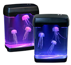 Jellyfish Aquarium
