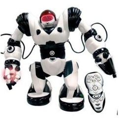 Robosapient