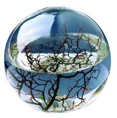 Ecosphere